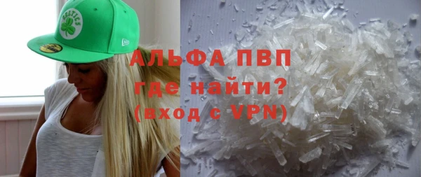 ECSTASY Богданович