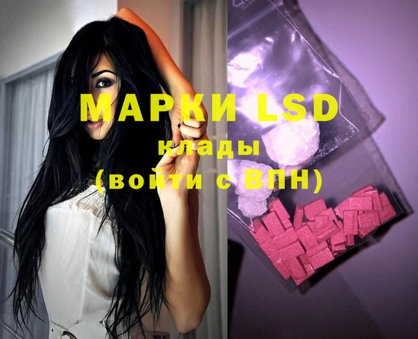 ECSTASY Богданович