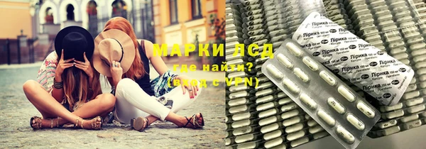 мяу мяу мука Аркадак