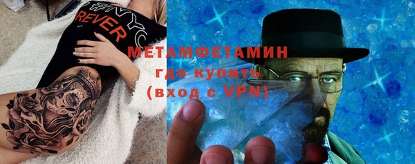 ECSTASY Богданович