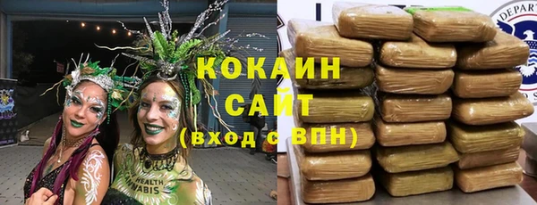 spice Арсеньев