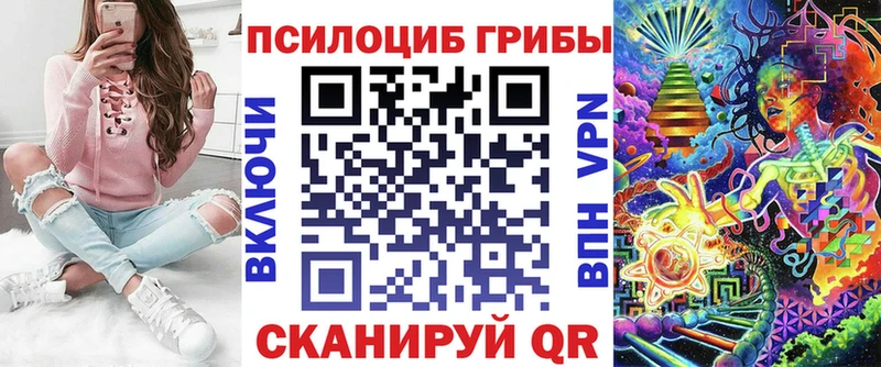 darknet какой сайт  купить наркоту  Строитель  Галлюциногенные грибы Psilocybe 