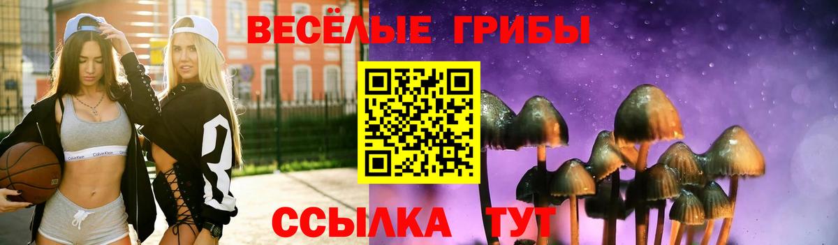 Галлюциногенные грибы прущие грибы Строитель